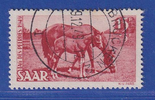 Saarland 1949 tag des - tag, pferdes